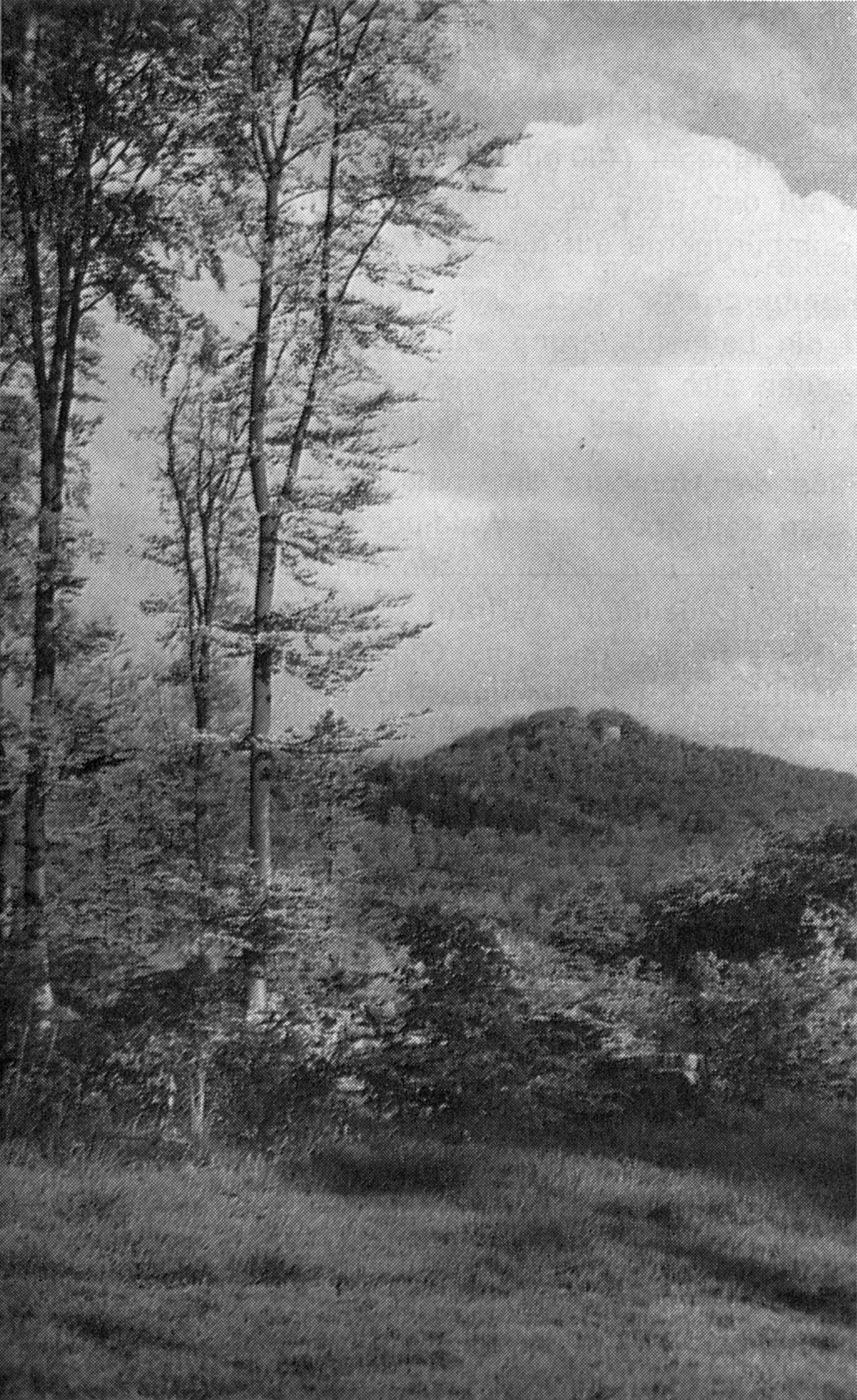 Blick auf die Homburg